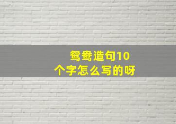 鸳鸯造句10个字怎么写的呀