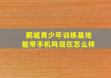 鹏城青少年训练基地能带手机吗现在怎么样