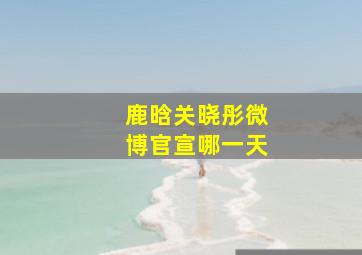 鹿晗关晓彤微博官宣哪一天