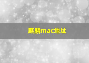 麒麟mac地址