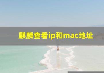 麒麟查看ip和mac地址