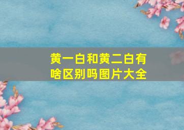 黄一白和黄二白有啥区别吗图片大全