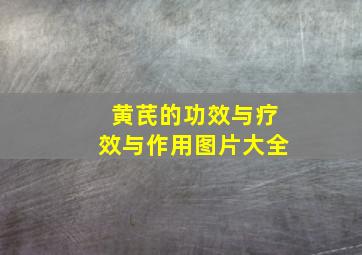 黄芪的功效与疗效与作用图片大全