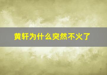 黄轩为什么突然不火了