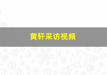 黄轩采访视频