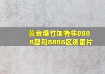 黄金爆竹加特林8888型和8888区别图片