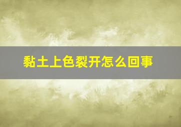 黏土上色裂开怎么回事