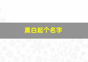 黑白起个名字