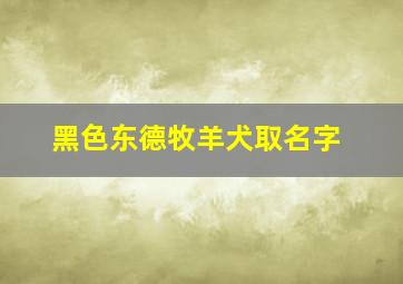 黑色东德牧羊犬取名字