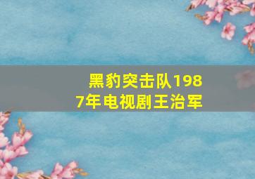 黑豹突击队1987年电视剧王治军