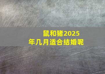 鼠和猪2025年几月适合结婚呢